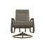 Belle Isle Outdoor Lounge Chair-1556701397-1556701994