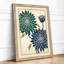 Chrysanthemum Study Japandi - Framed Print-2141928609-2141928611