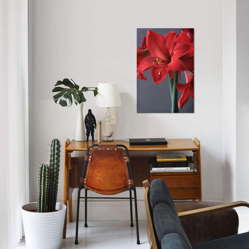 Amaryllis rouge, impression sur toile, H 26 po x l 18 po x P 1,5 po, Toile tendue, Pas de tapis