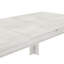 Aleisha Extendable Dining Table