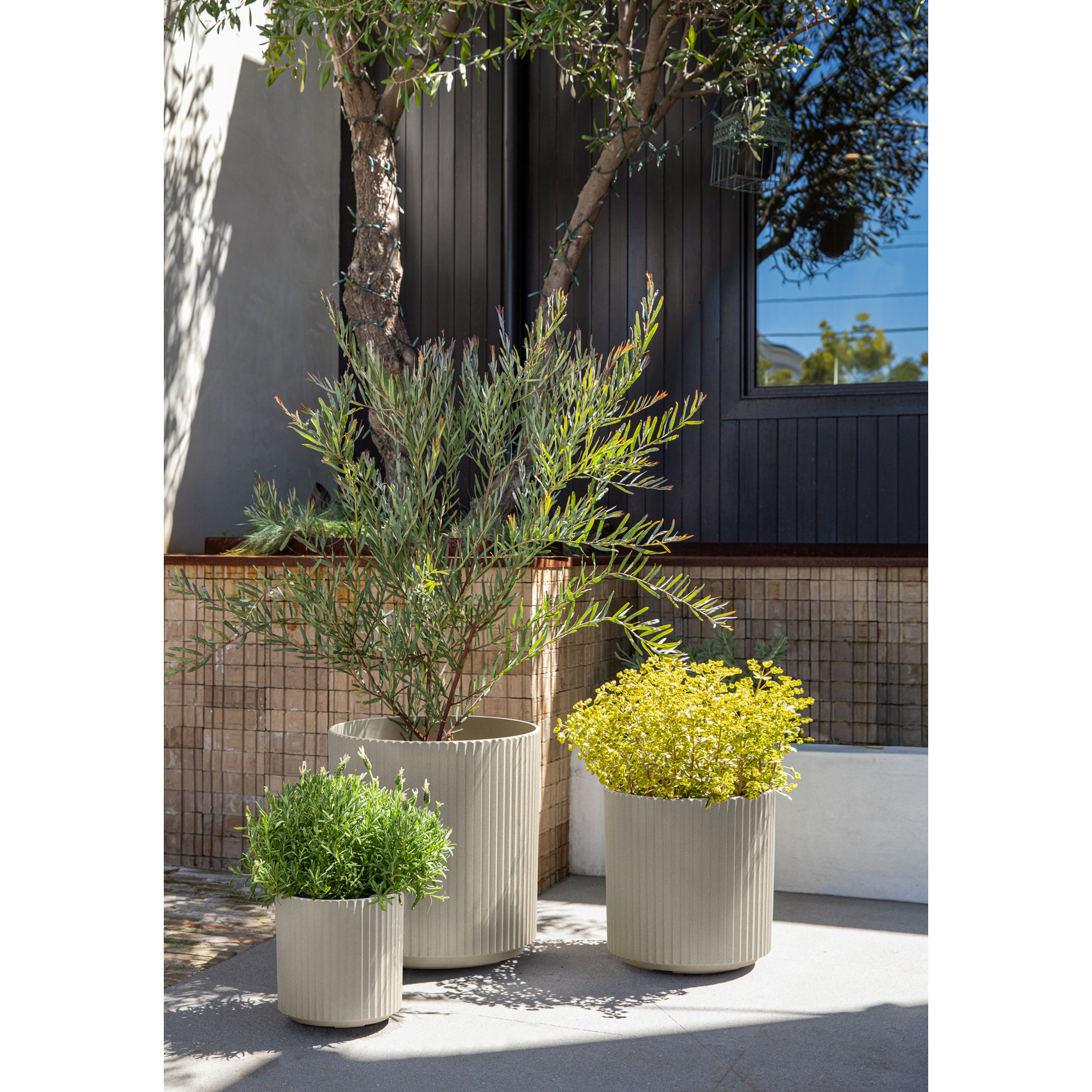 Demi Series Round Planter Set of 3, Sand