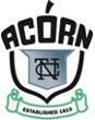 Acorn Logo