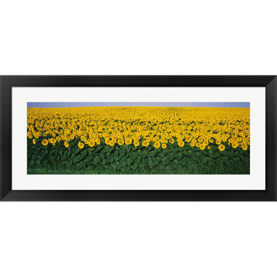 Landscape & Nature Wall Decor on Paper