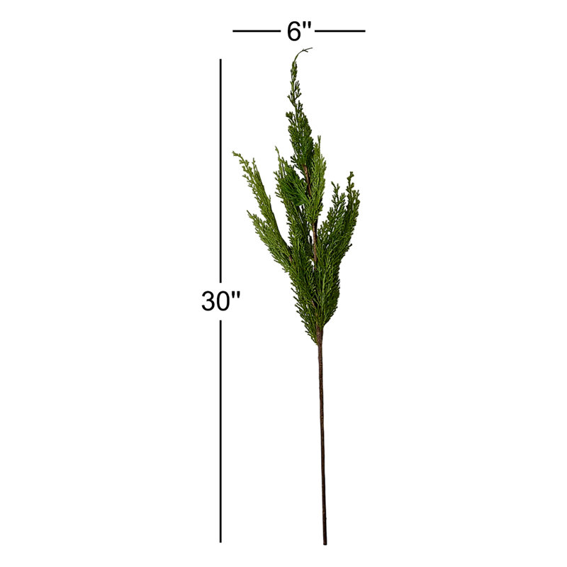 30" Cedar Spray