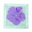 Hibiscus Cotton Sateen Cocktail Napkins-1089641403