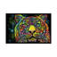 « tiger », impression sur toile tendue-74241572-10901254