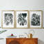 Encre Jungle I - Impression sur mesure encadrée de qualité supérieure - 3 pièces-272187931