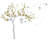Plants & Flowers Non-Wall Damaging Accent-2054005518-2054005515