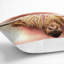 Square Cushion-56874006-56874009