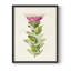 «Pretty Pink Botanicals IV», reproduction encadrée - bois massif-1364362622-1364362620