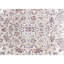 Intricately Oriental Area Rug-1816392612