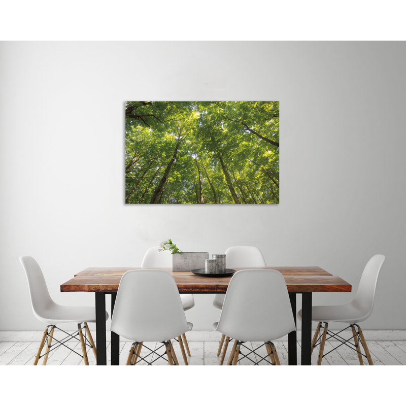 «Hardwood Forest Canopy IV», toile tendue par Alan Majchrowicz, H 32 po x l 48 po x P 1,5 po