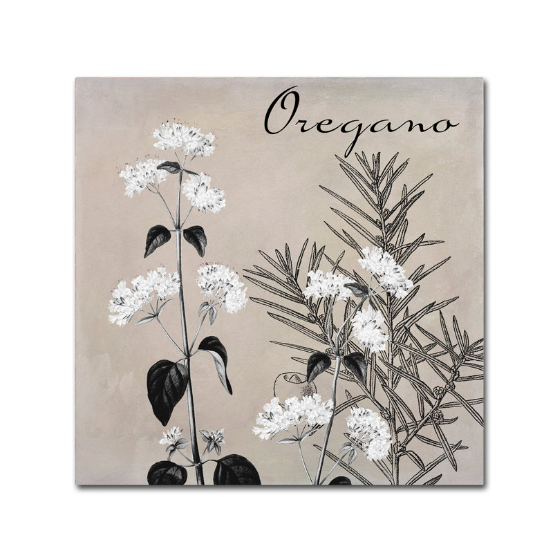 Natural Wood Framed Black and White Floral Canvas Art, 18x18 Inches