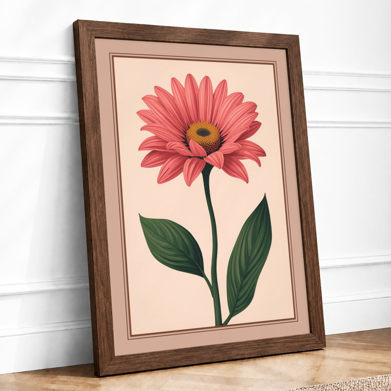 Single Pink Daisy Botanical - Framed Print, A2 - 59.4 x 42.0 cm, Walnut