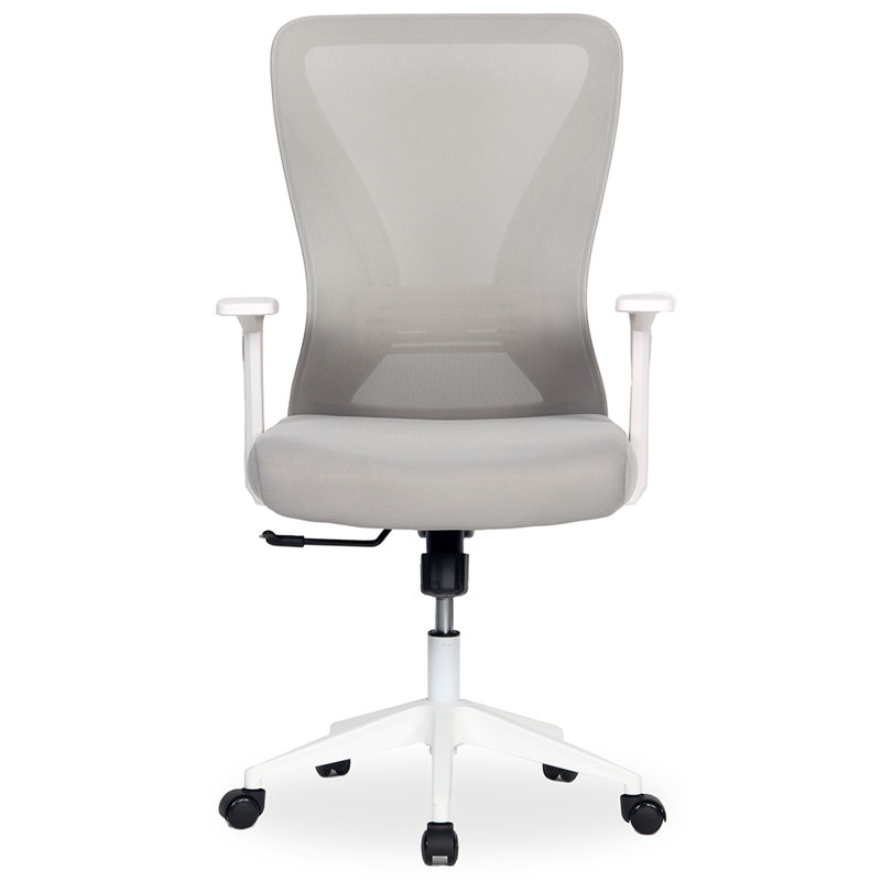 Mesh Task Chair, Gray, White