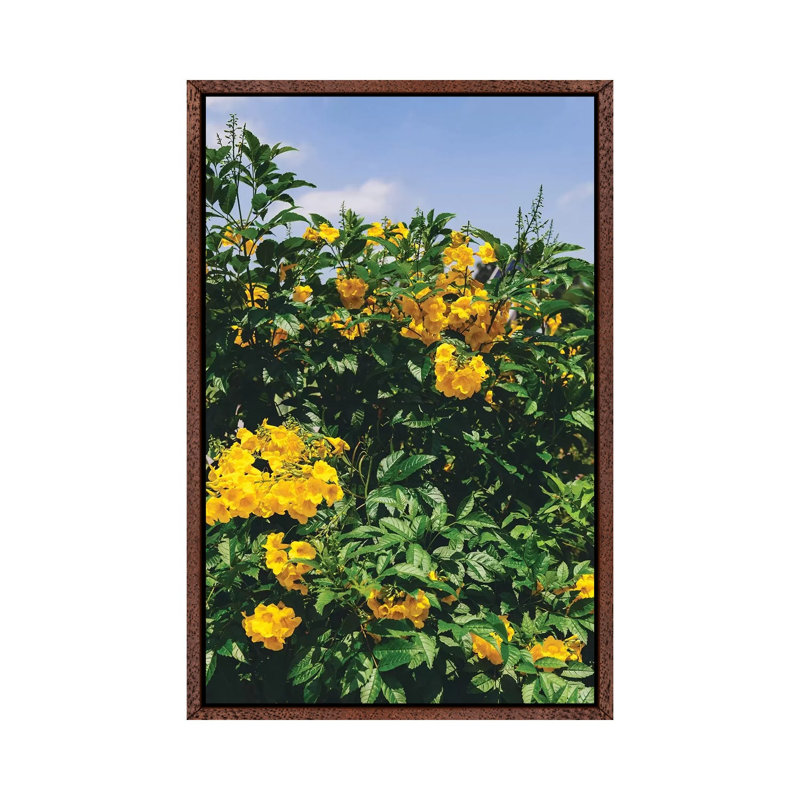 Austin Blooms by Bethany Young - Print on Canvas, 66.04cm H x 45.72cm W x 3.81cm D, Classic Brown Wood Framed