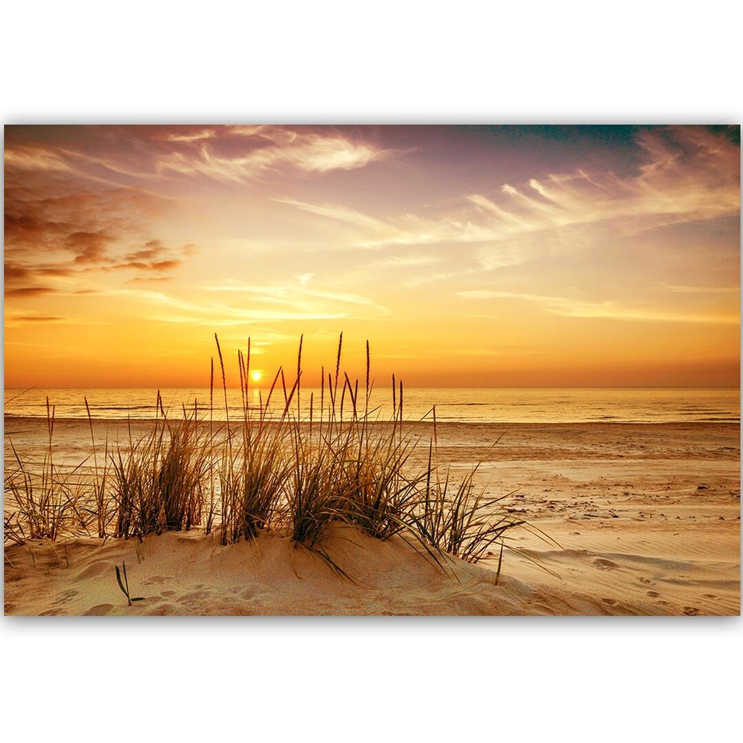 Leinwandbild Grass on the Beach 3