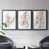 Black Framed