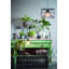 Birghild Glass Decorative Bottle-269278583