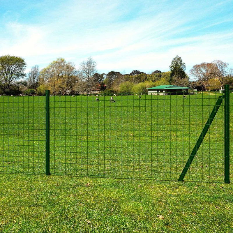 Enos Outdoor Euro Fence Panel Set with Ground Spike Steel, 80cm H x 2500cm W, Green