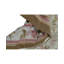 Wool Oriental Area Rug
