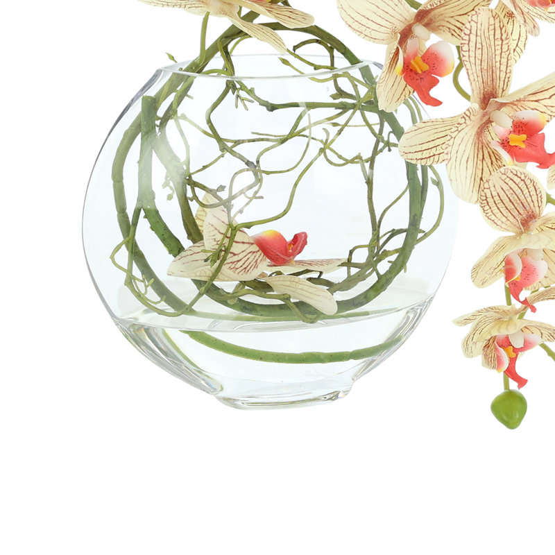 Orchid and Vine Arrangement in Glass Vase, Orange