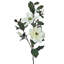 38 po vaporisateur Charleston Magnolia 