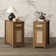End Table (Set of 2) with Storage and Charging Station