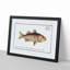 Lineated Umber Fish by M.E. Bloch - Picture Frame Painting Print-55580518-55580516