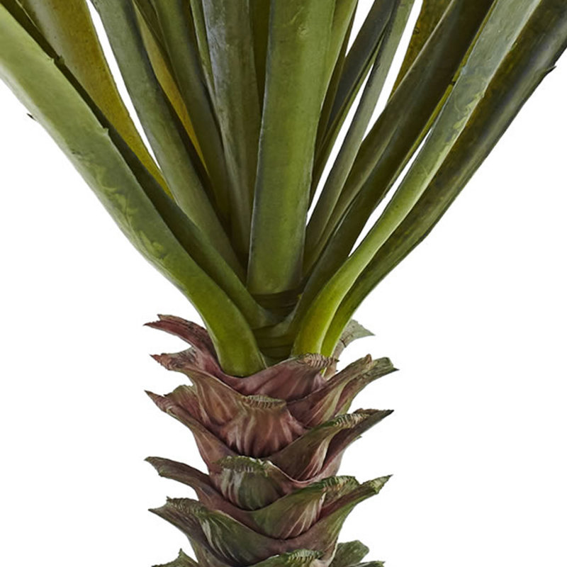18'' Succulent/Agave Succulent
