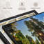 Floral et botanique «Grant Grove Trees Canvas Print»-101457121