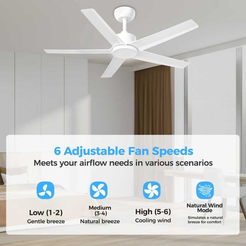 2pcs 44-inch Ceiling Fan, White, White