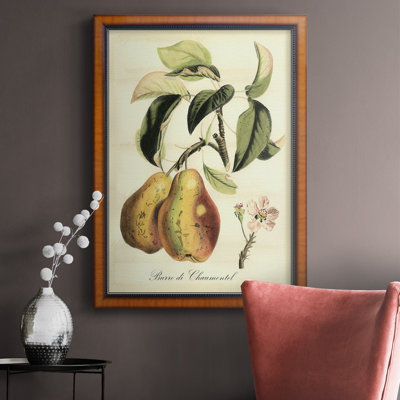 " Printed Tuscan Fruits IV "