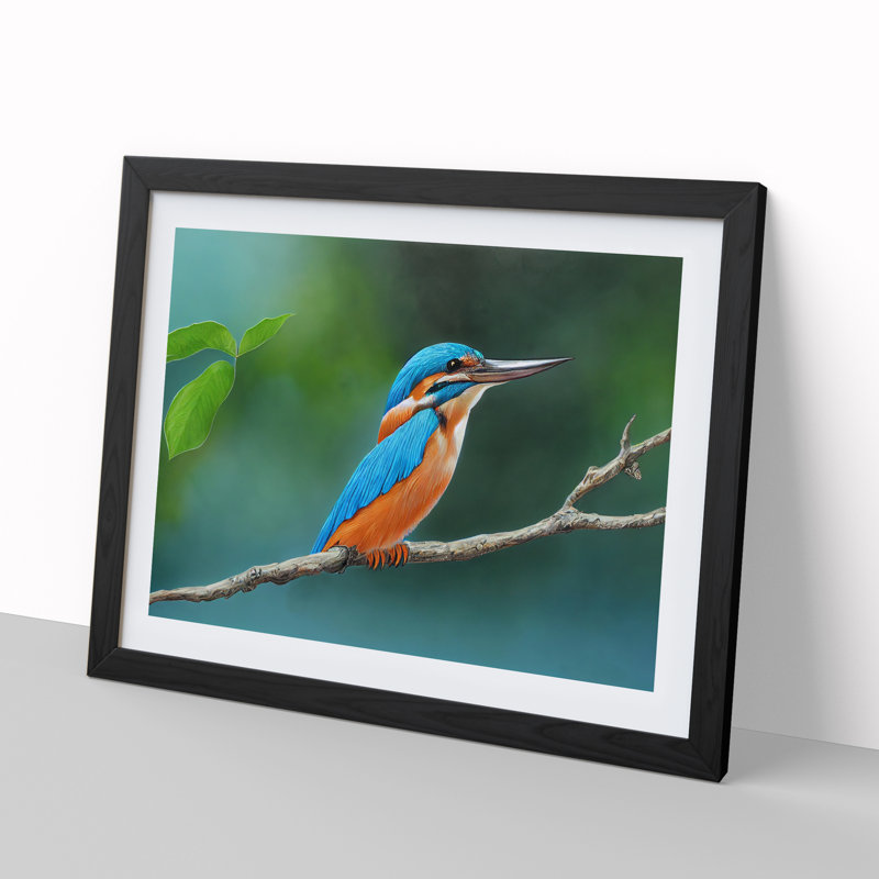Evocative Kingfisher Bird - Framed Print, Black, 46cm H x 64cm W x 2cm D