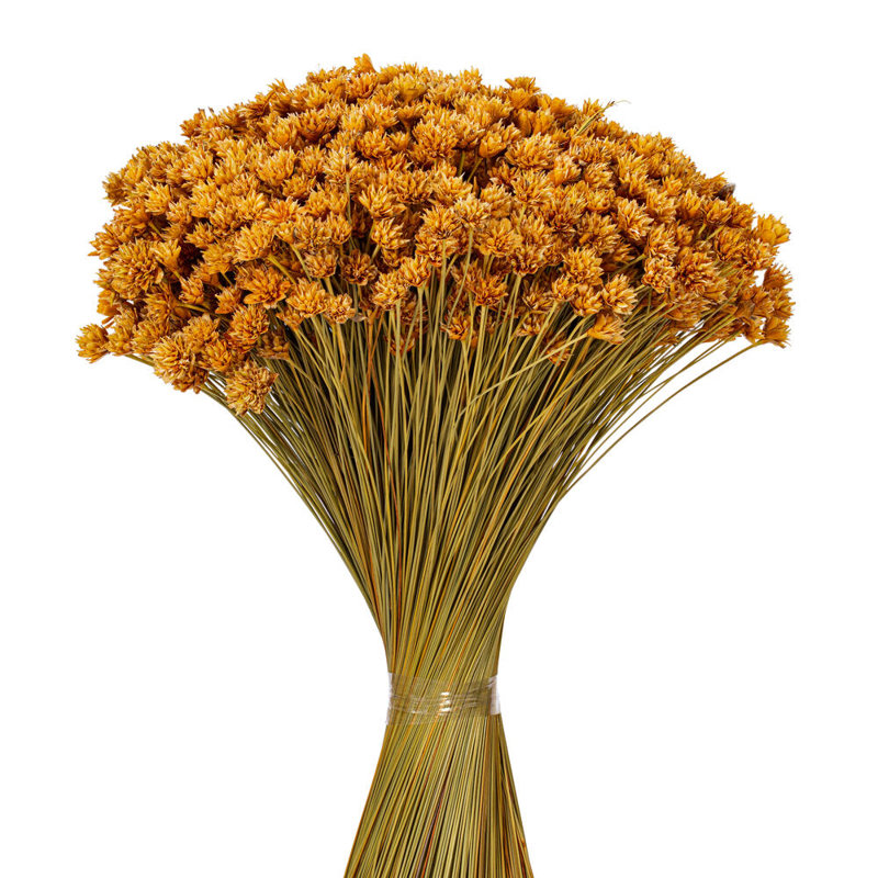 Bouquet de 14 po Hil Natural, Vert
