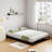 Low Bed Frame Full Size - 6/10 Inch Heavy Duty Metal Platform Mattress Foundation No Box Spring Needed  Noise-Free-1428429667