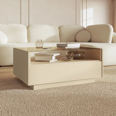 Coffee Table with Storage