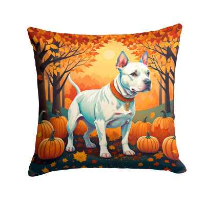 Other/No Pattern Outdoor Throw Pillow