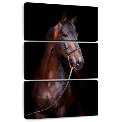 Brampt Horse Photo