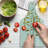 East Urban Home Glass Cutting Board