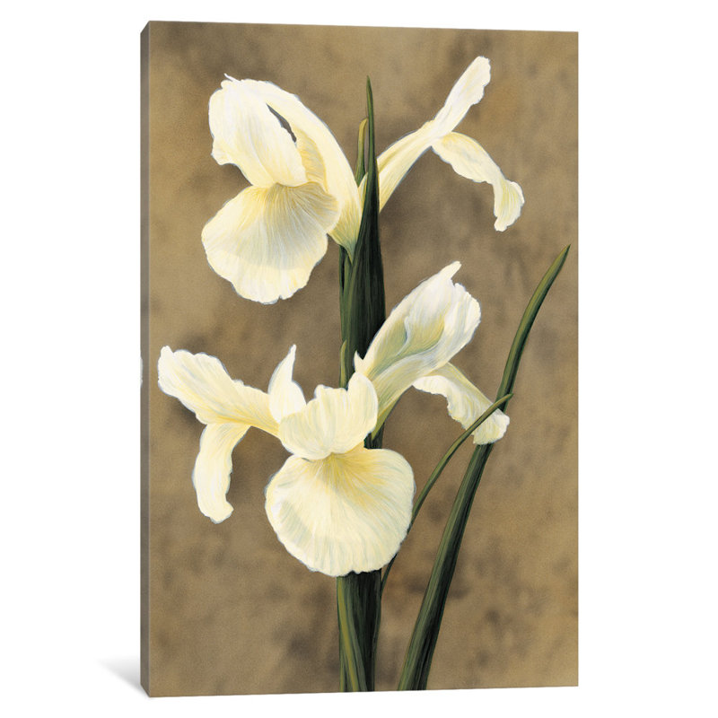 « iris », reproduction d’art sur toile tendue, H 40 po x l 26 po x P 1,5 po, Toile tendue, Pas de tapis
