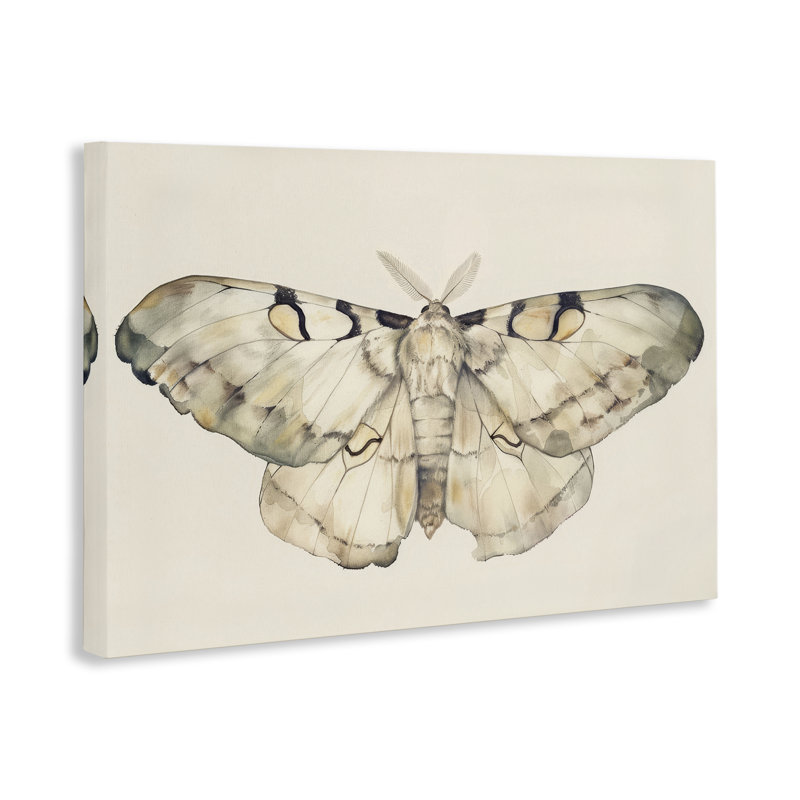 «Dusty Beige Moth», art mural sur toile par Petal Prints Design, H 16 po x l 24 po