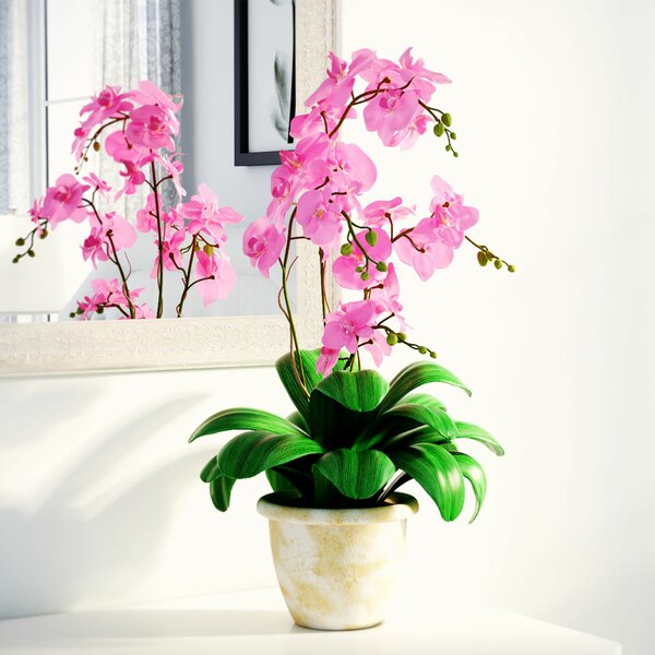 Alcott Hill® Double Phalaenopsis Silk Orchids Floral Arrangement in Pot ...