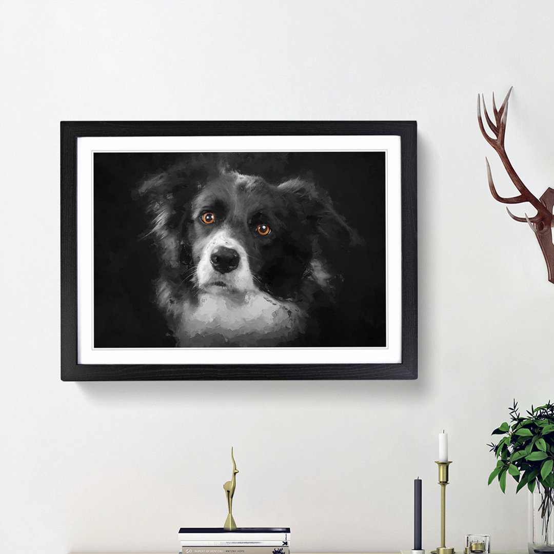 Brown Eyed Border Collie Dog in Abstract - Picture Frame Art Print