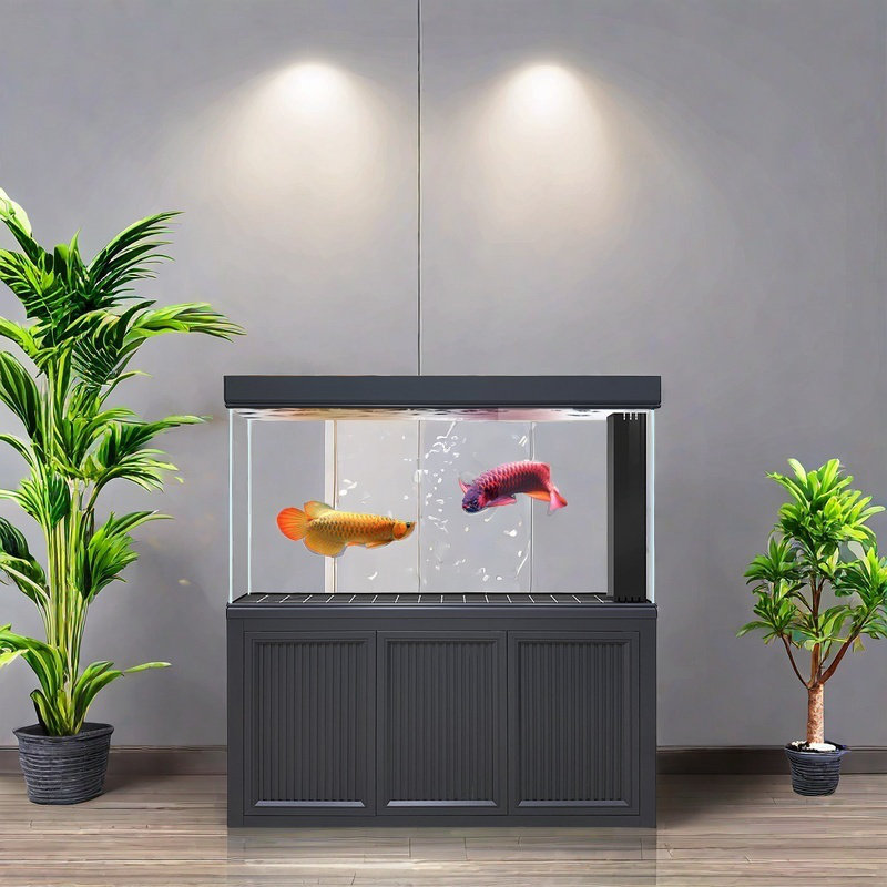 Réservoir d'aquarium rectangulaire simple et moderne Eco, 155 gallons (H 63 po x l 59 po x P 19,6 po), Gris