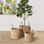 Bayla Handmade Seagrass Basket With Handles - Set of 3