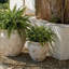 Pot à fleurs Ramsey-1815407546-1815407549