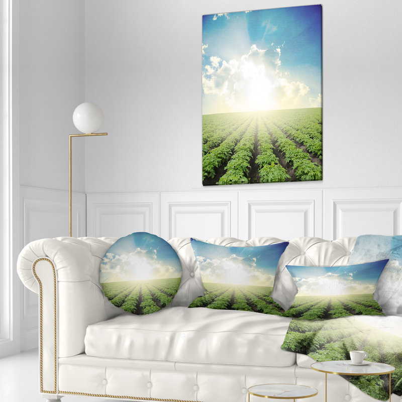 Coussin lombaire Schafer