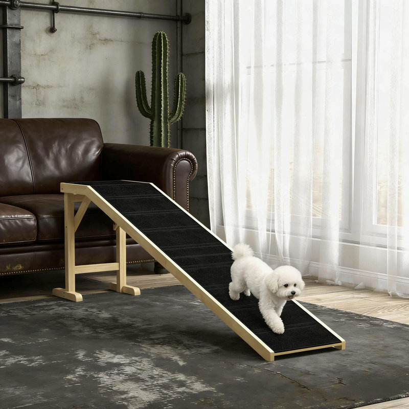 Rampe pratique pour animaux, rampe pour chien pour votre maison