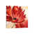 Wrapped Canvas is unavailable